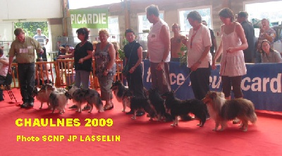 De la maison des carmes - Résultats de l'exposition nationale de Chaulnes (France)