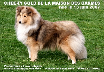 De la maison des carmes - Radio de CHEEKY GOLD