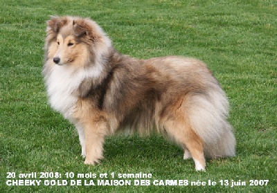 De la maison des carmes - Exposition nationale de Cambrai (France)