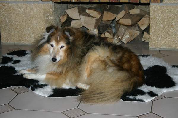 Lolita De la maison des carmes