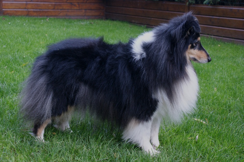 Clara  black De la maison des carmes