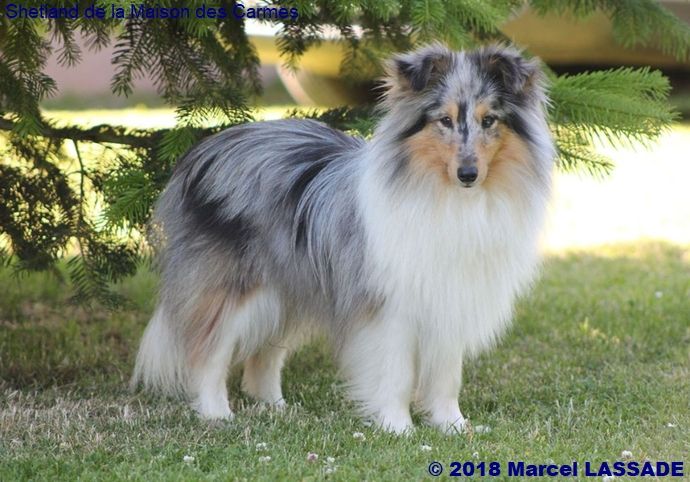 Portée NELSY BLACK du 21 juin 2019