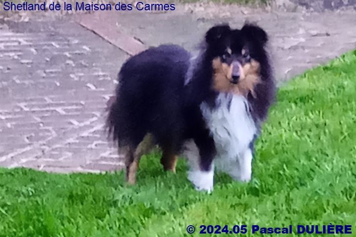Portée de MEEKNESS GOLD du 28 mai 2024